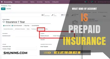 Prepaid Insurance: An Asset or Expense?