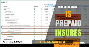 Prepaid Insures: What Type of Account Is It?