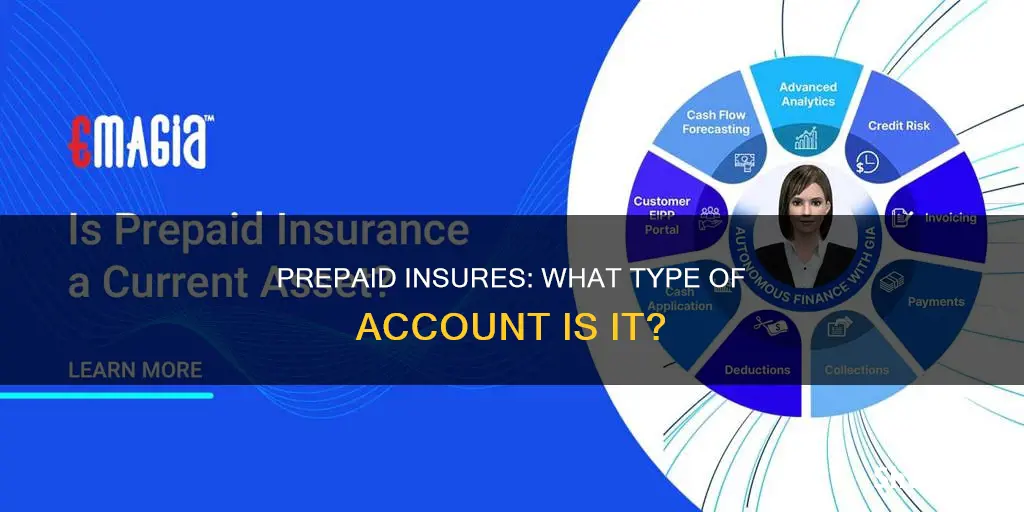 what kind of account is prepaid insures