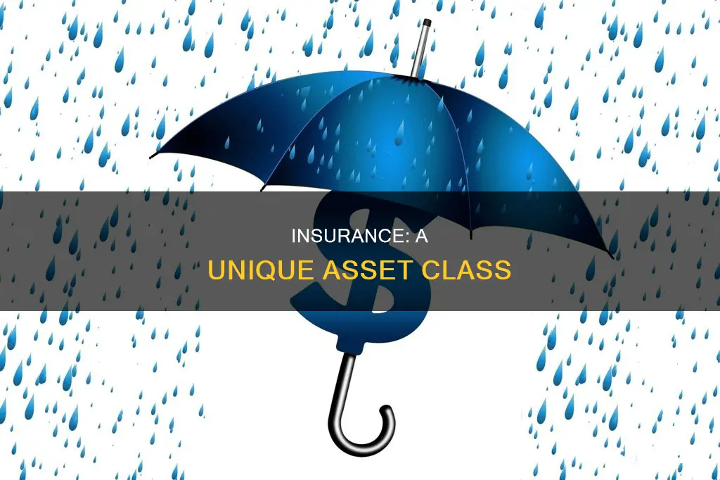 what kind of asset is insurance