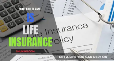 Understanding Life Insurance: A Financial Asset or Liability?