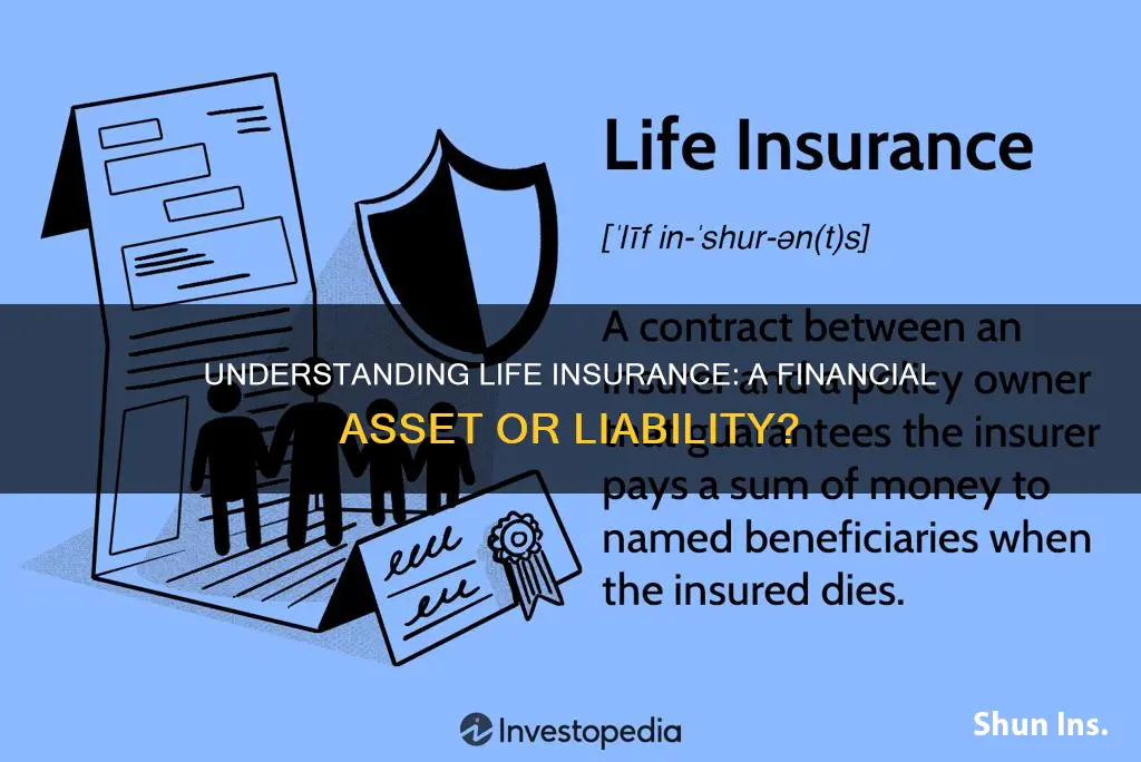 what kind of asset is life insurance