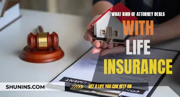 Legal Experts: Who Handles Life Insurance Disputes?