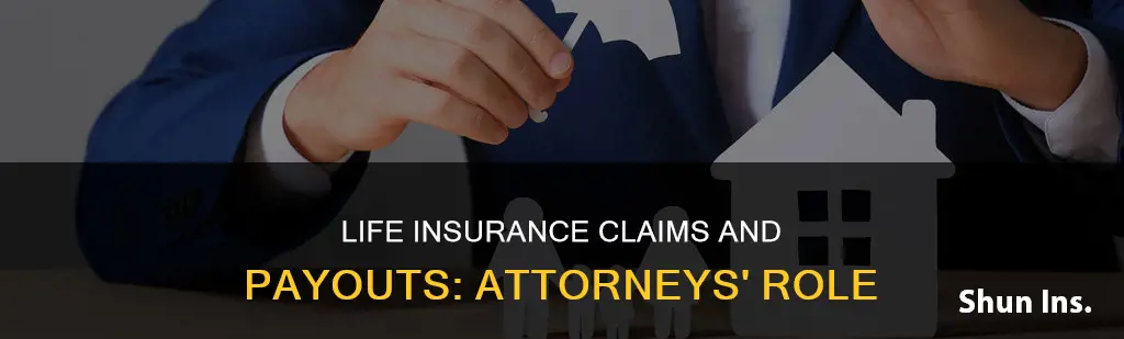 what kind of attorney deals with life insurance