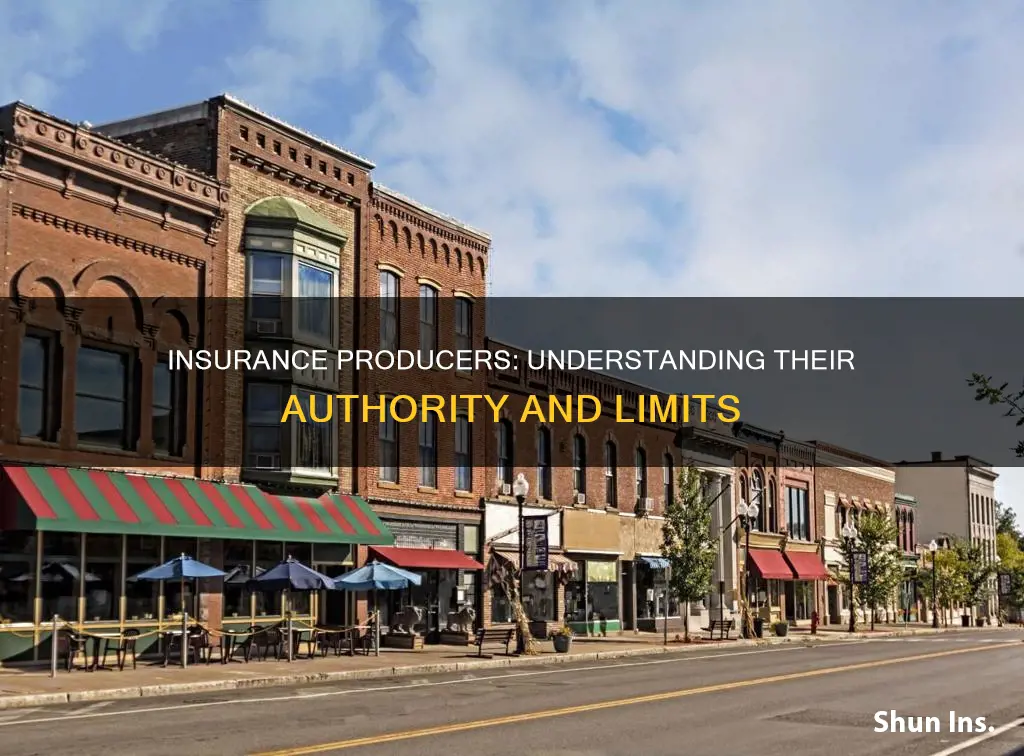 what kind of authority is given to insurance producers