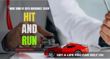 Understanding Auto Insurance Coverage for Hit and Run Incidents