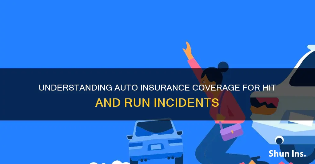 what kind of auto insurance cover hit and run