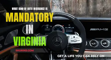 Auto Insurance: Virginia's Mandatory Coverage Requirements