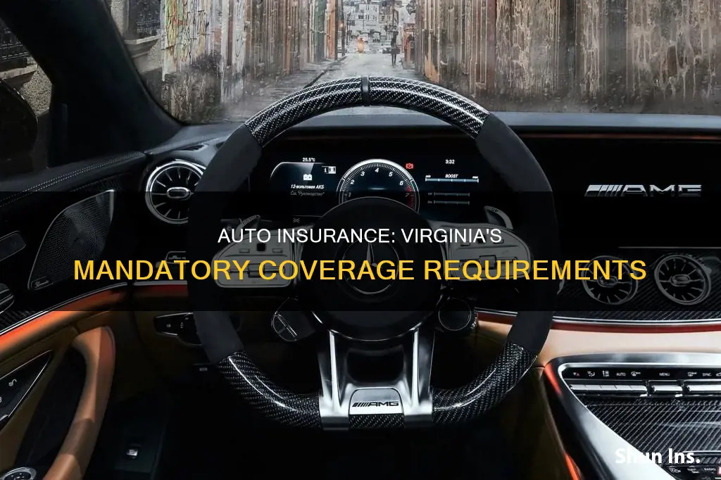 what kind of auto insurance is mandatory in Virginia