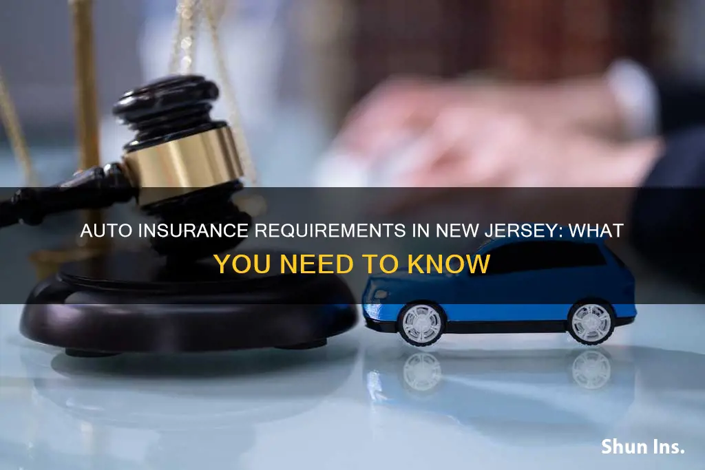 what kind of auto insurance is required by new jersey