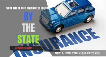 Auto Insurance: Understanding State-Mandated Coverage Requirements