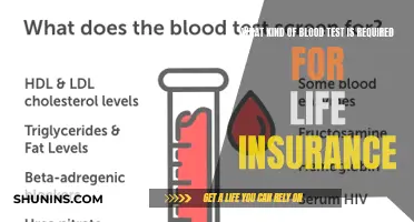 Blood Test Requirements for Life Insurance: A Comprehensive Guide