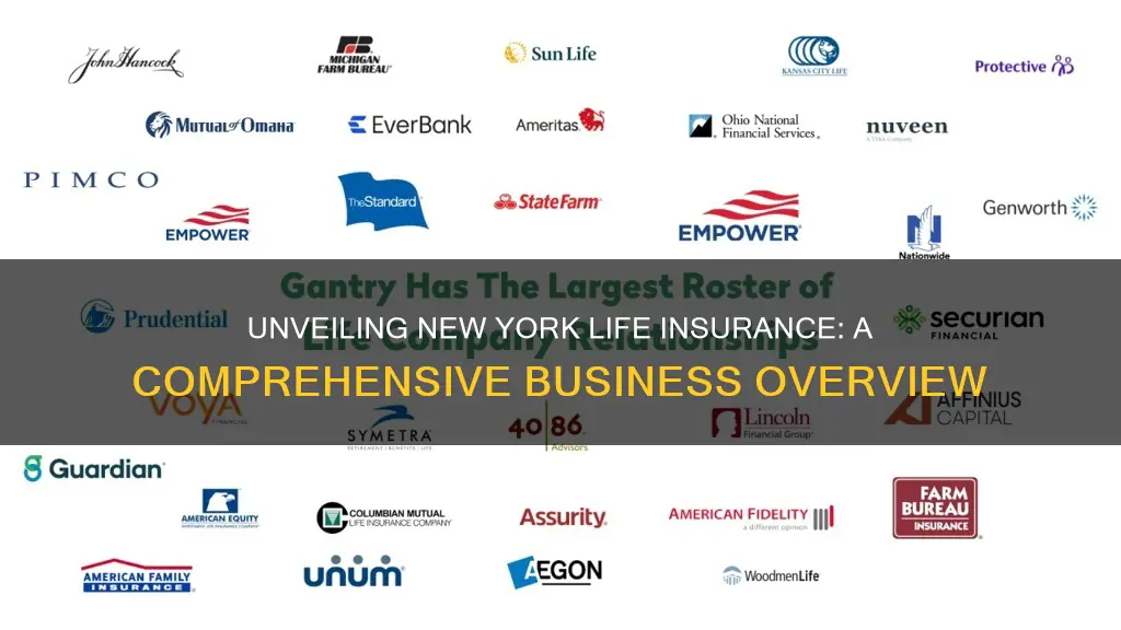 what kind of business is new york life insurance