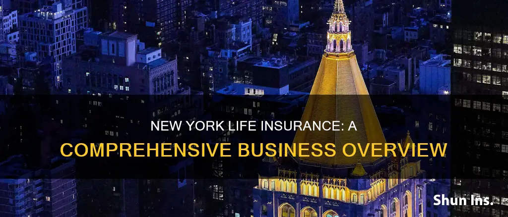 what kind of business is new york life insurance