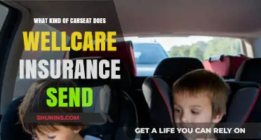 Wellcare Insurance: What Car Seat to Expect