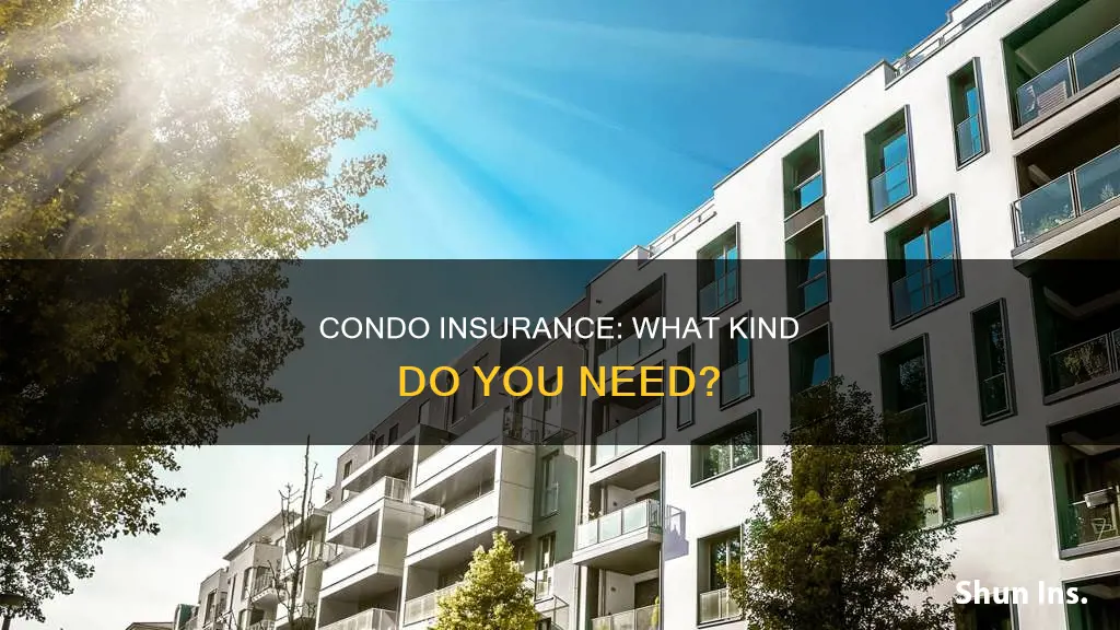 what kind of condo insurance should you have