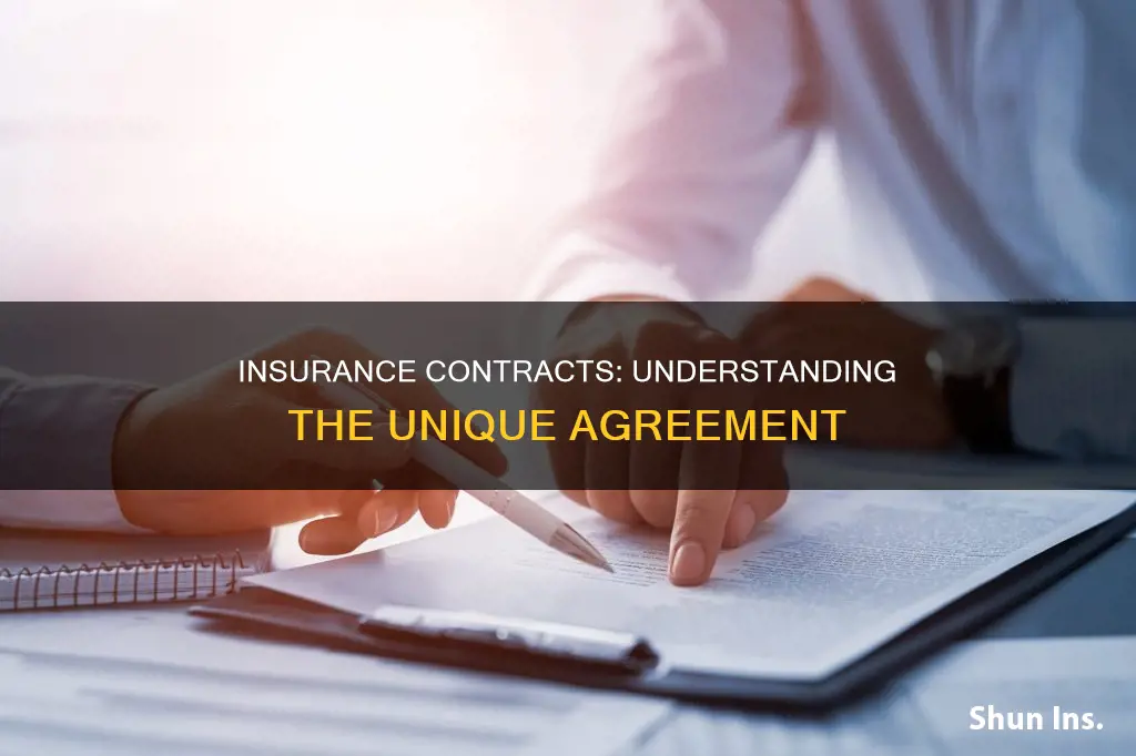 what kind of contract is an insurance contract