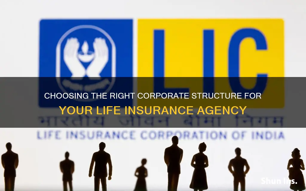 what kind of corporation should a life insurance agent establish