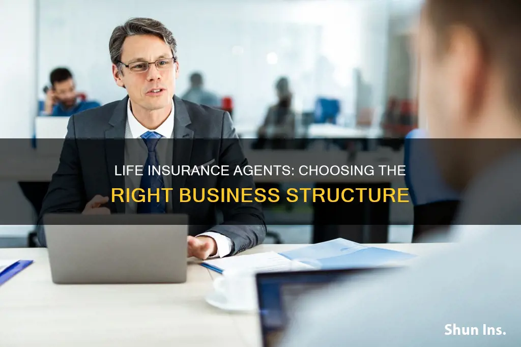 what kind of corporation should a life insurance agent establish