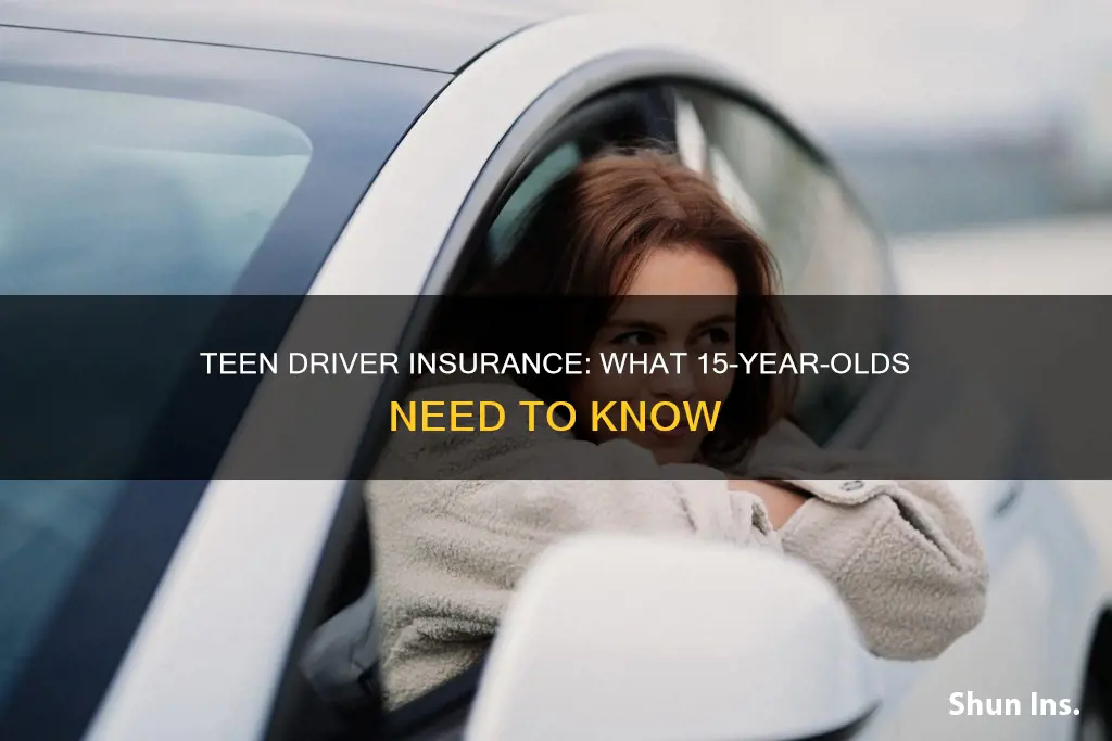 what kind of drivers insurance do 15 year olds have