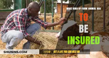 Farm Animals and Insurance: Who's Covered?