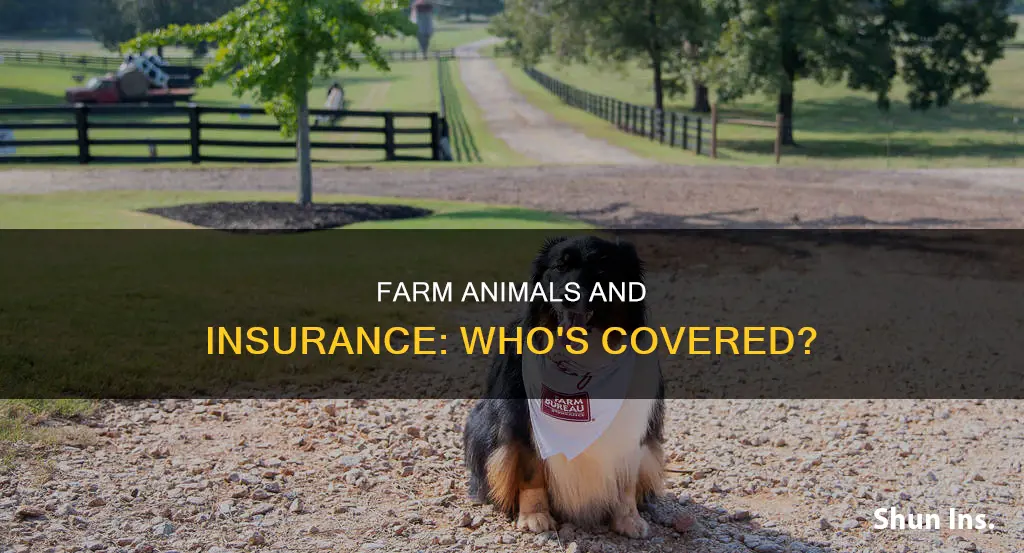 what kind of farm animal has to be insured