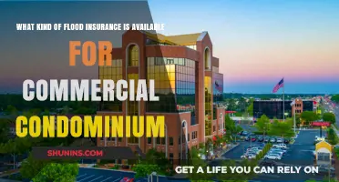 Commercial Condominium Flood Insurance: What's Available?