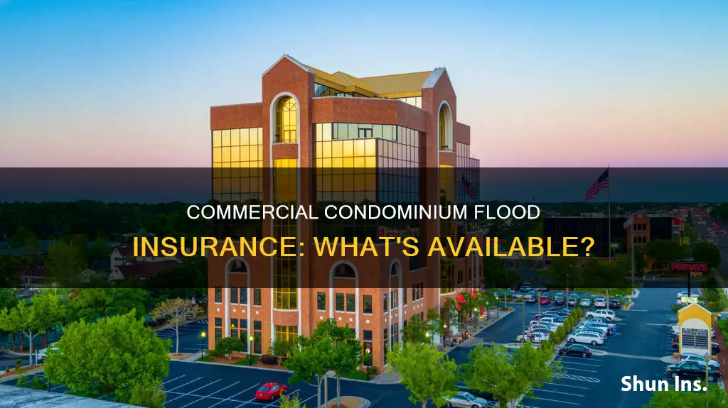 what kind of flood insurance is available for commercial condominium