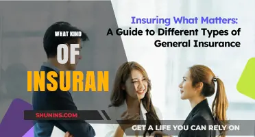 The Many Types of Insurance Policies Explained