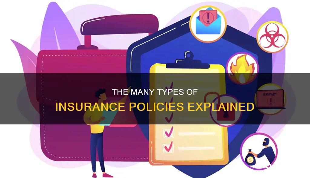 what kind of insuran