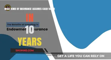 Cash-Value Insurance: A Decade's Worth of Assurance