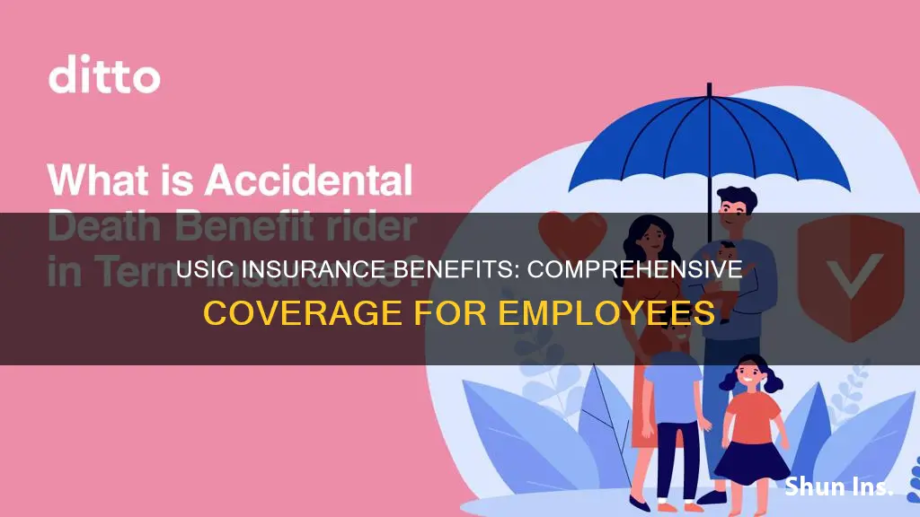 what kind of insurance benefits are at usic