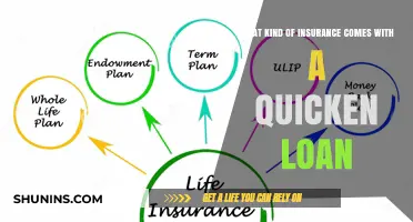 Explore Quicken Loans: Insurance Options and Benefits