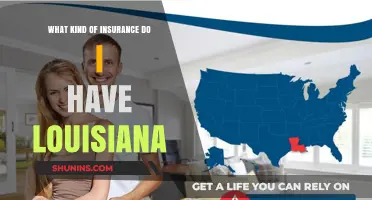 Louisiana Insurance: What Kind of Coverage Do I Have?