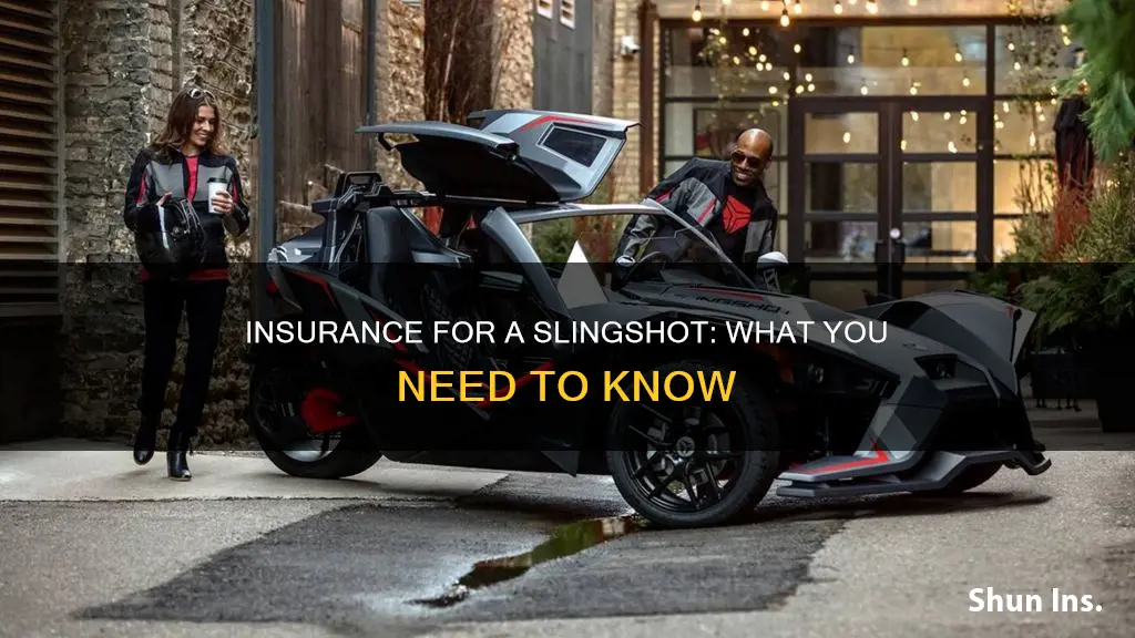 what kind of insurance do I meed for a slingshot