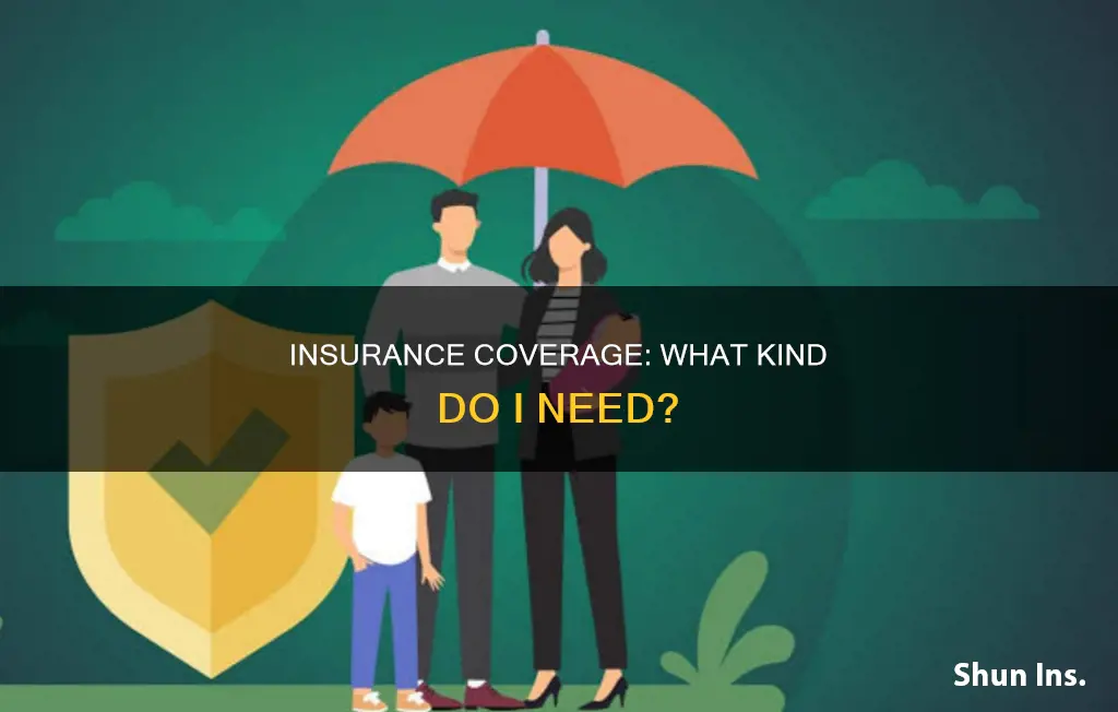 what kind of insurance do I ned