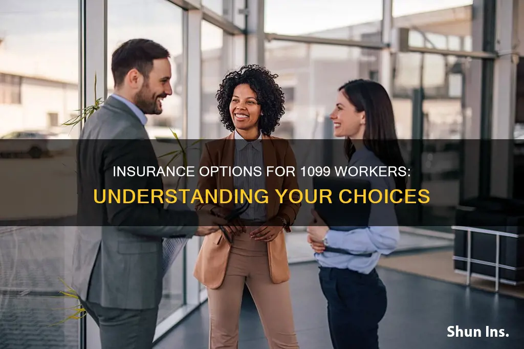 what kind of insurance do I show for 1099