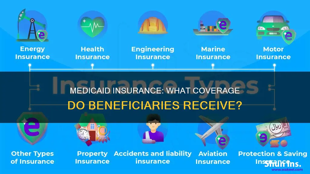 what kind of insurance do people with medicaid have