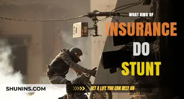 Stunt Performers: Insurance and Risk Mitigation