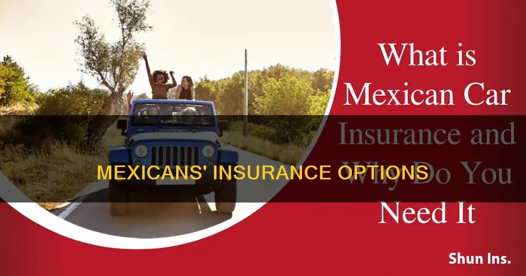 what kind of insurance do the people of mexico have