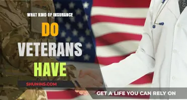 Veterans' Insurance: What Coverage Do They Get?