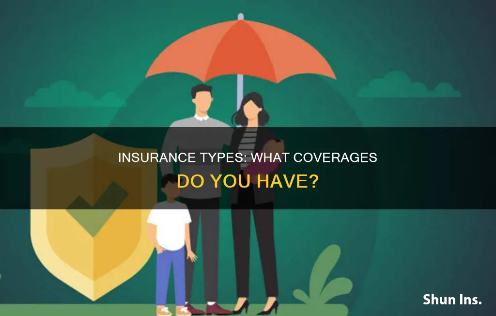 what kind of insurance do you have