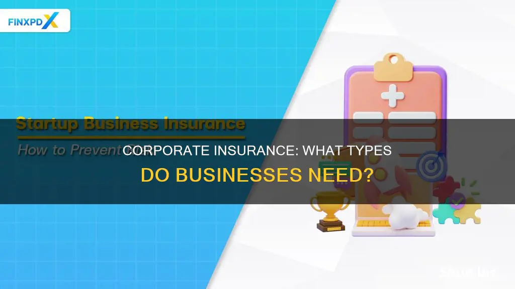 what kind of insurance does corporations have