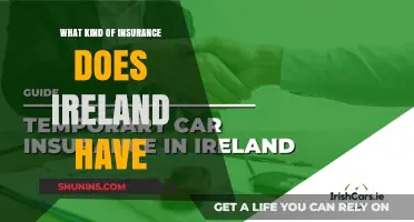 Ireland's Insurance Options: Comprehensive Guide