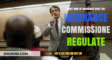 Insurance Commissioner: What Insurance Policies Are Regulated?