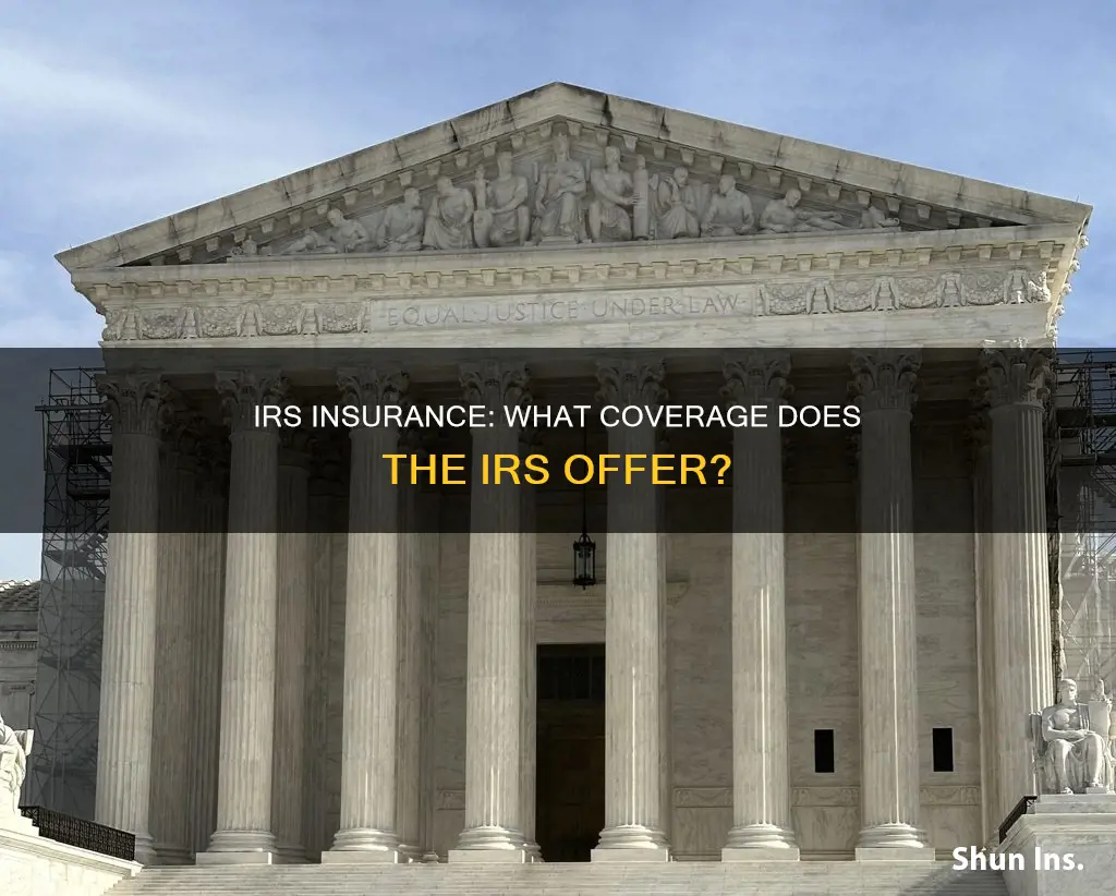what kind of insurance does the irs have