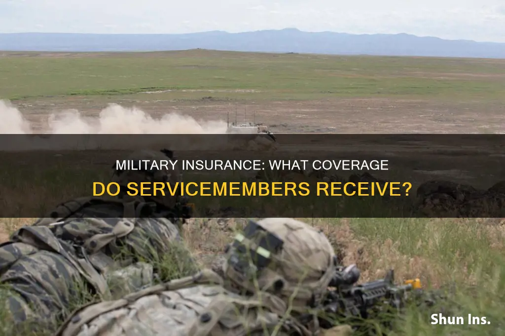 what kind of insurance does the military have