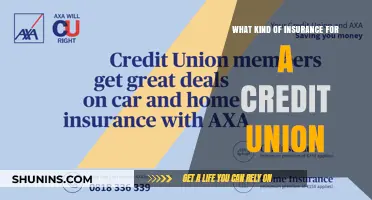 Insurance Coverage: Credit Union Essentials