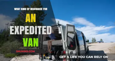Best Insurance Options for Your Expedited Van