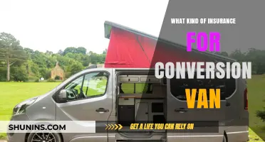 Conversion Van Insurance: What You Need to Know